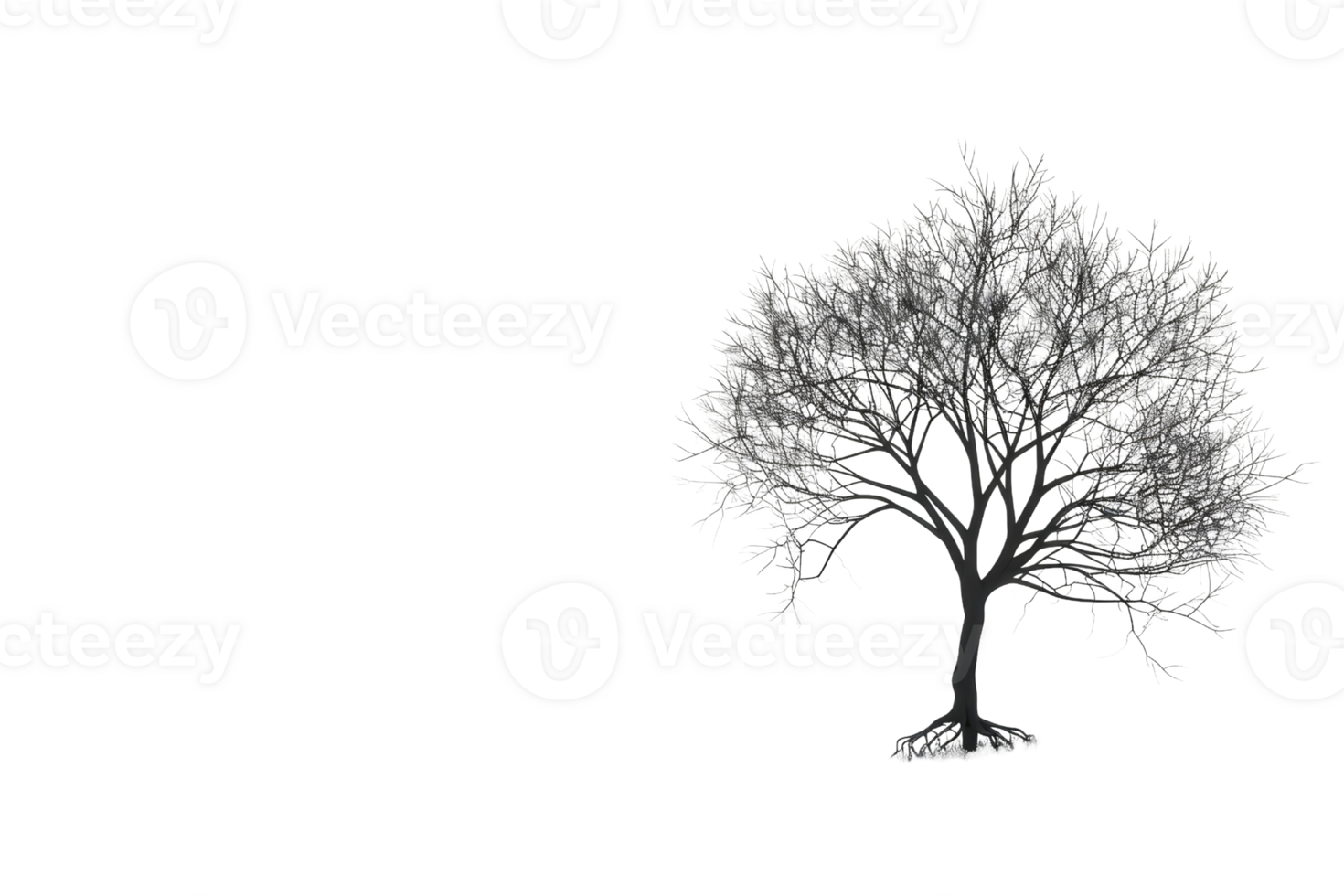 black photo of a tree with no leaves. Its branches are bare. The tree stands alone against a white background. png