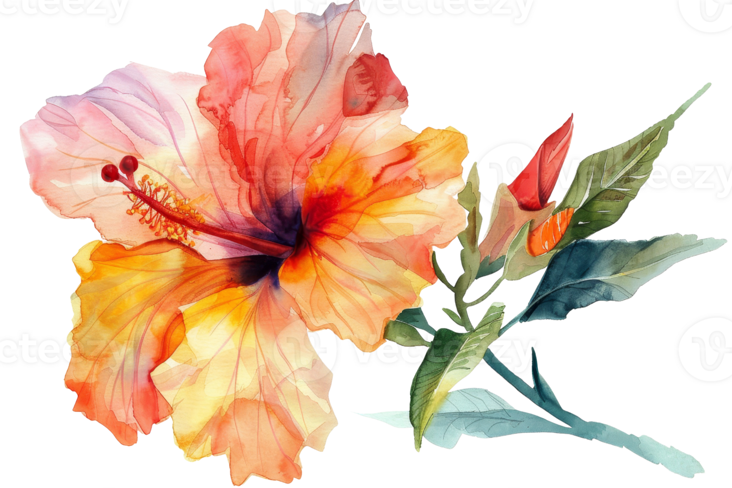 A watercolor painting of a flower with a stem and leaves. The flower is orange and pink, and the stem is green. The painting has a serene and calming mood png