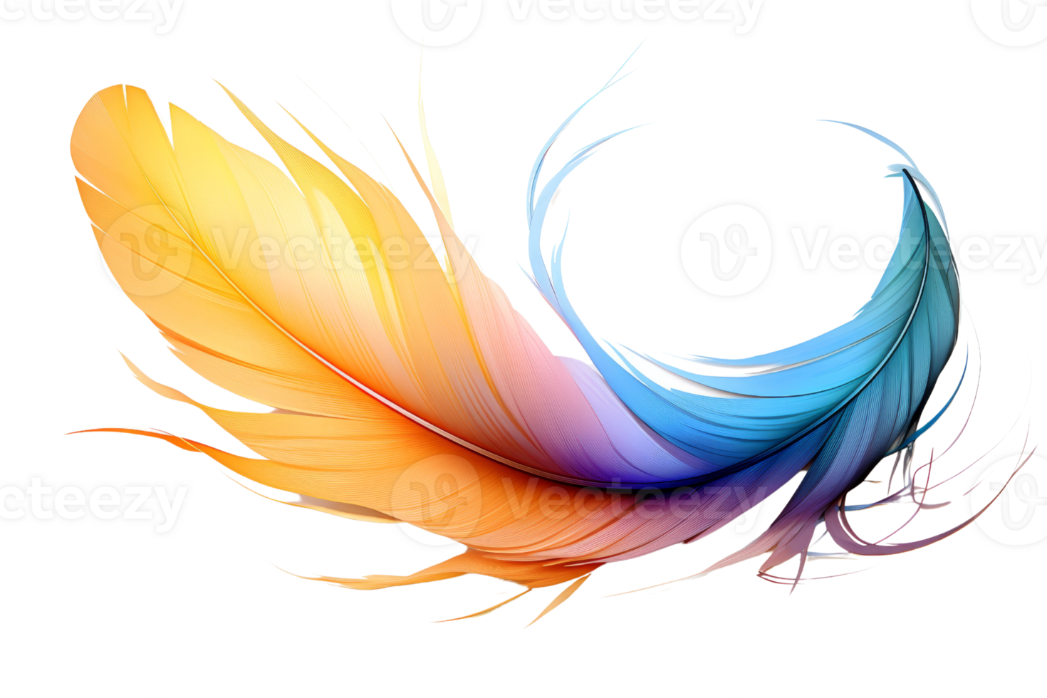 A colorful feather with a blue, orange, and yellow stripe. The feather is long and has a wavy shape png