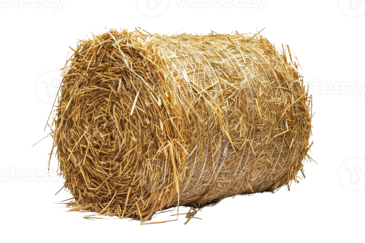 Close-up image of a large round hay bale isolated on a transparent background. showcasing agricultural and farming elements. png