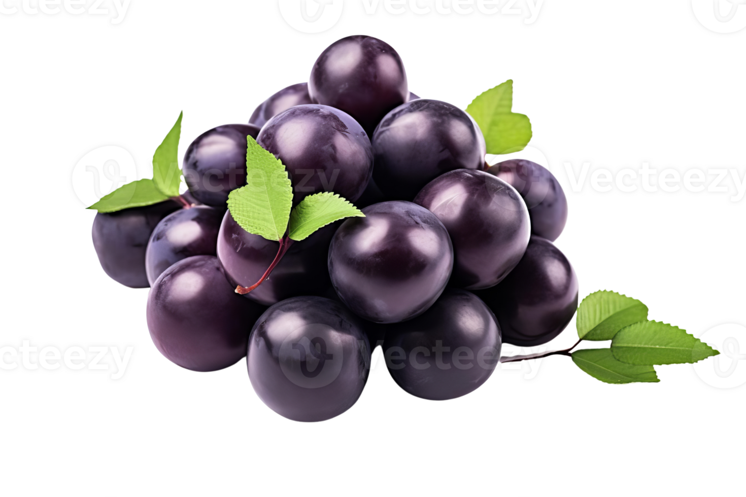 A bunch of purple plums with green leaves on top. The plums are ripe and ready to eat png