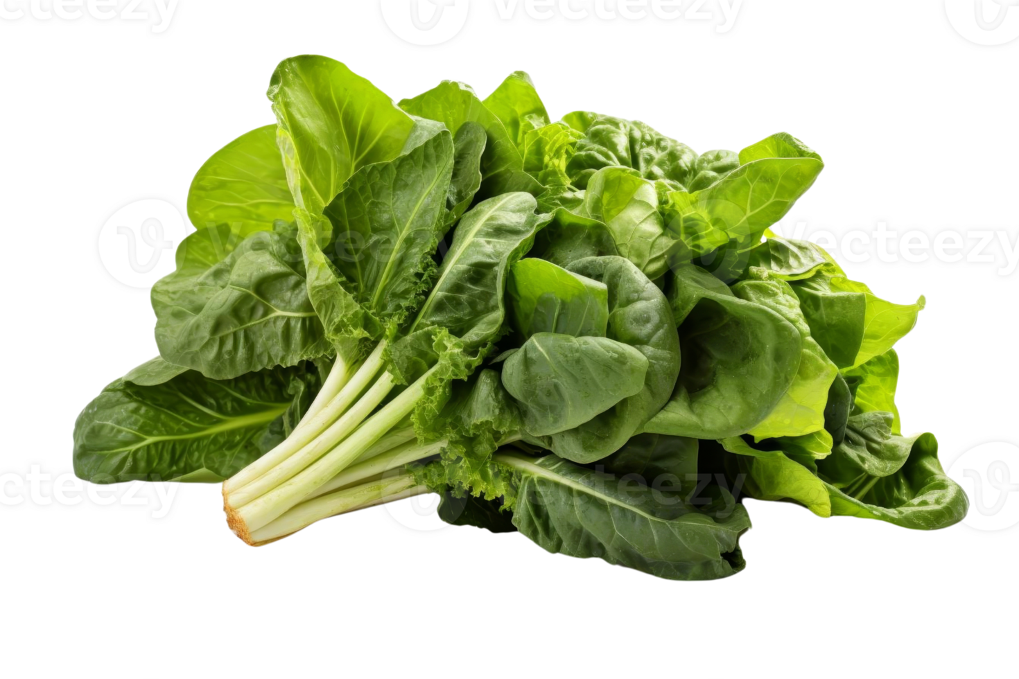 A bunch of green spinach leaves are piled on top of each other. The leaves are fresh and vibrant, and they look healthy and nutritious. Concept of abundance and vitality png