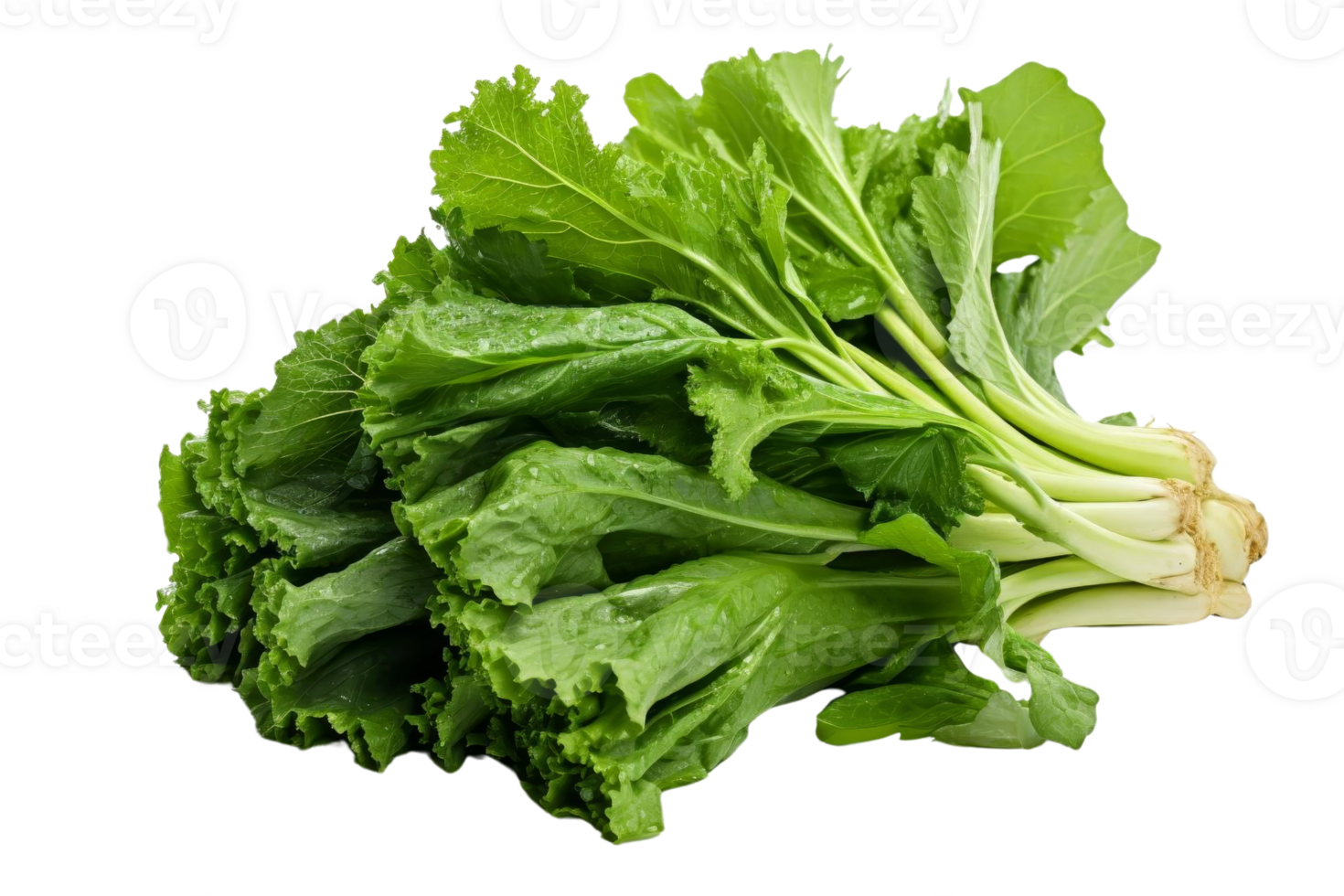 A bunch of green leafy vegetables. The leaves are fresh and crisp. The vegetables are arranged in a pile png