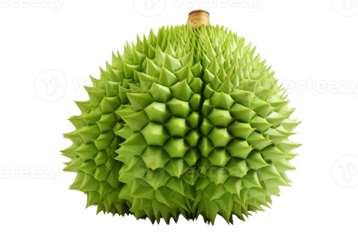 A green fruit with a lot of spikes on it. It looks like a durian png