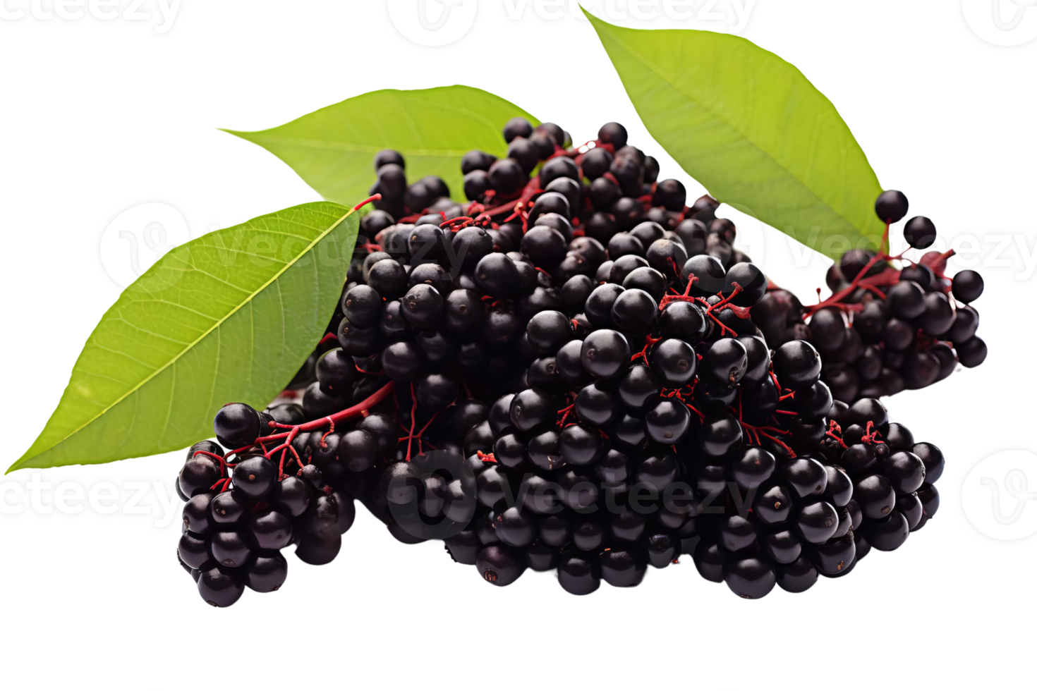 A bunch of black berries with green leaves. The berries are small and round. The leaves are green and have a pointed tip png