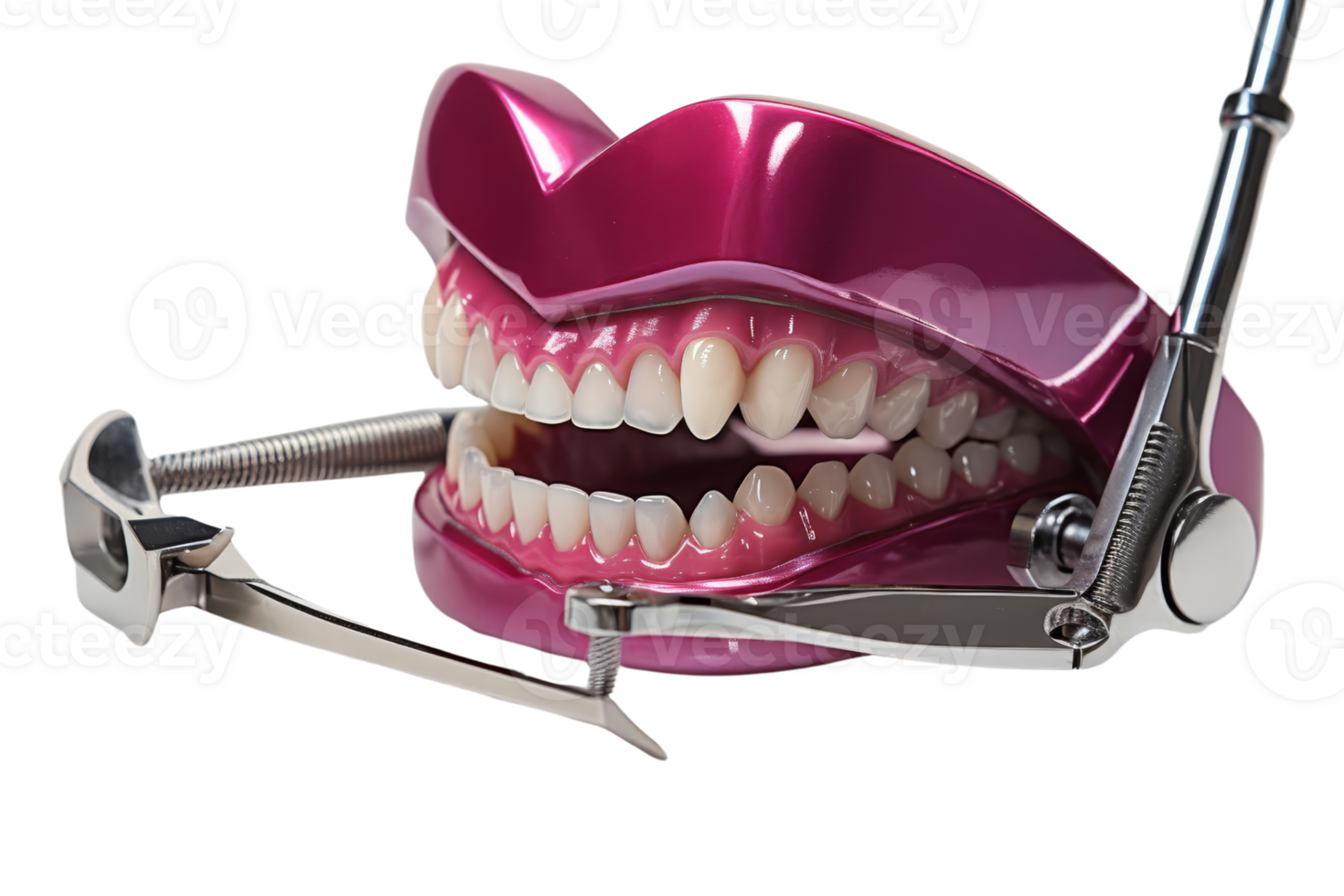 en rosa dental modell med en silver- verktyg i dess mun. de modell är öppen till visa de tänder och de verktyg är Begagnade till rena de tänder png
