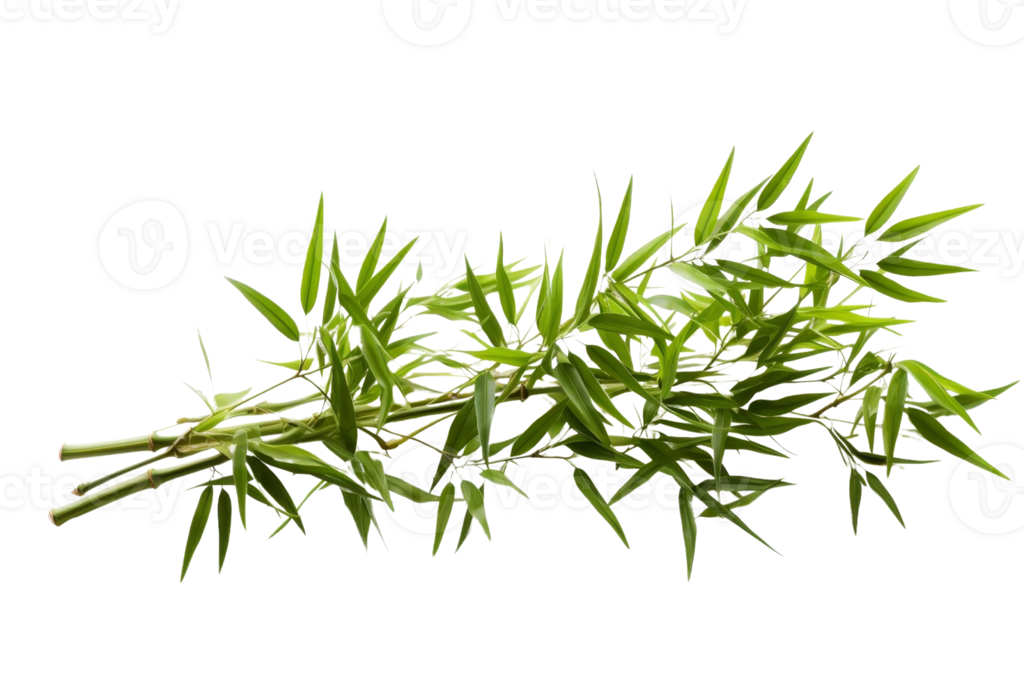 A bunch of bamboo leaves are arranged in a line. The leaves are green and appear to be fresh. The image has a calming and peaceful mood, as bamboo is often associated with tranquility and relaxation png