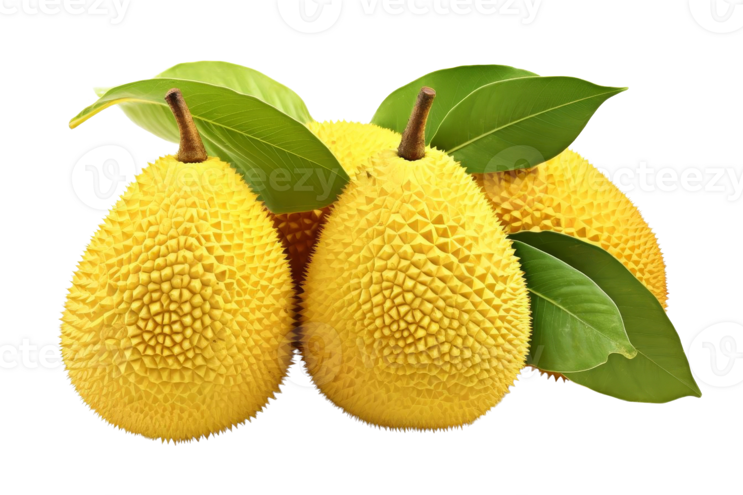 Three yellow fruits with green leaves on top. The fruits are round and have a bumpy texture png