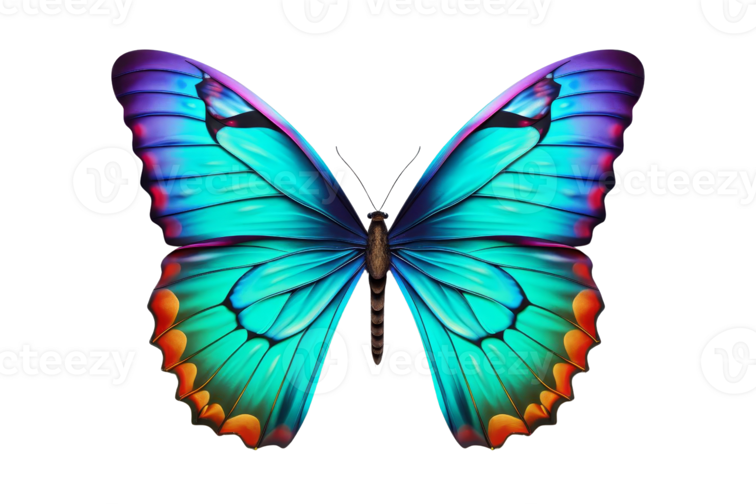 A vibrant blue and orange butterfly with intricate wing patterns, isolated on a transparent background. showcasing nature's beauty in detail. png