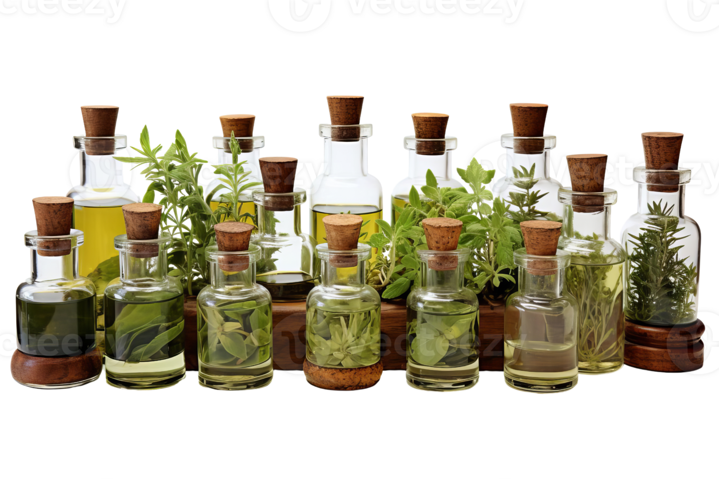 A row of glass bottles with herbs and plants inside. The bottles are arranged in a line, with some taller than others. The herbs and plants inside the bottles are green and fresh png