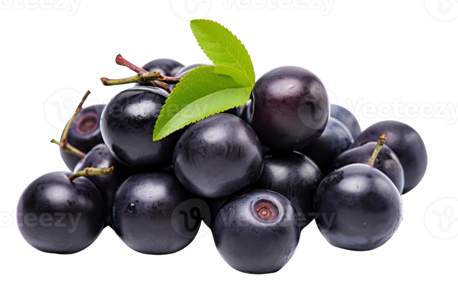 A bunch of black berries with a leaf on top. The berries are small and round png