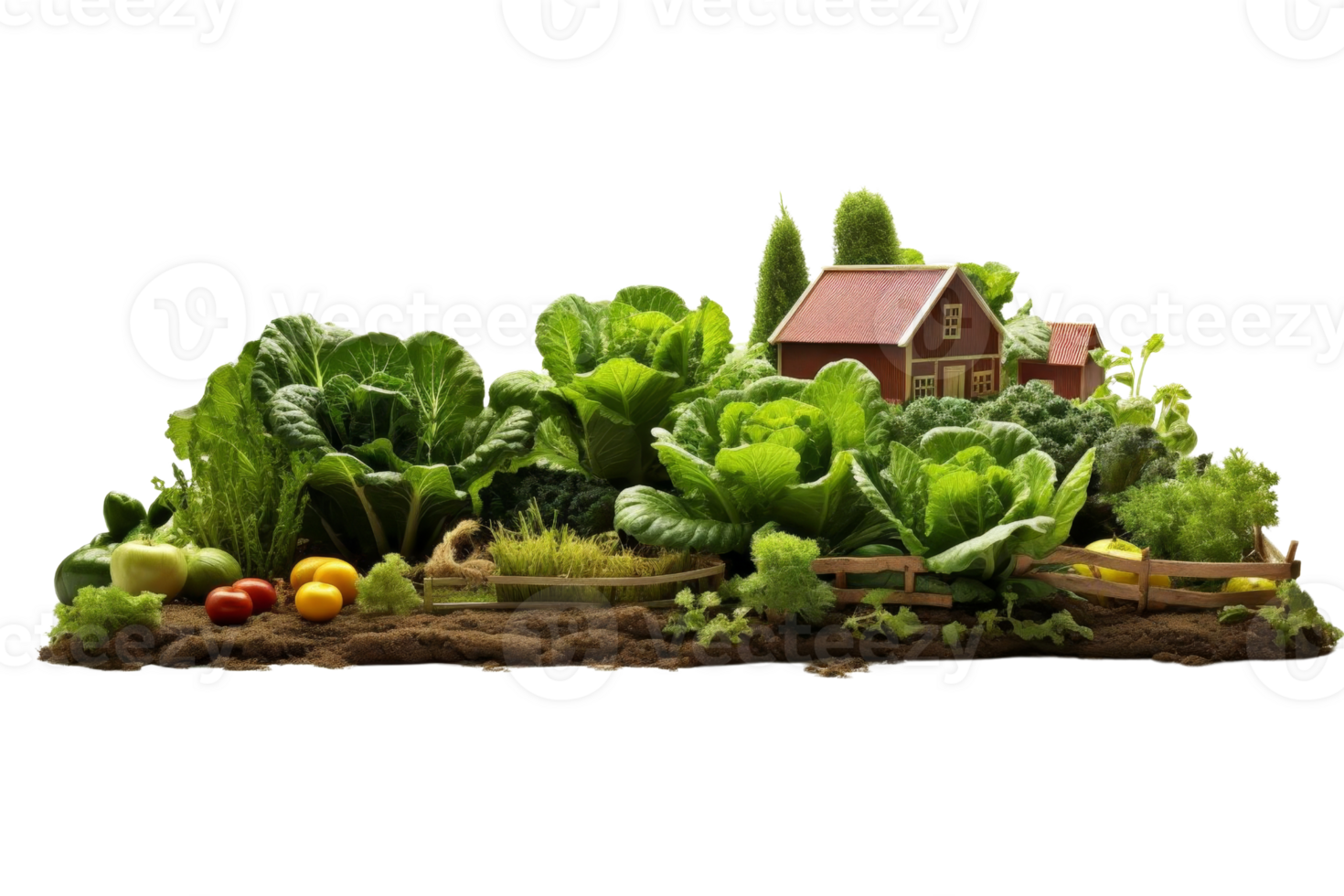 A garden with a house in the background. The garden is full of vegetables and fruits. The house is red and has a white roof png