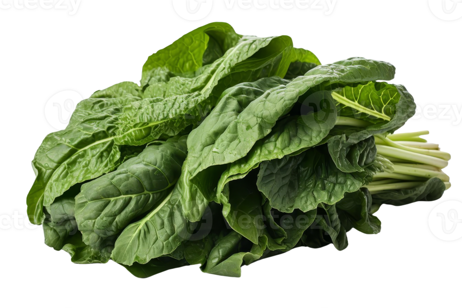Fresh bunch of vibrant green spinach leaves. Perfect for salads, smoothies, and cooking. Healthy, organic, and nutrient-rich green vegetable. png