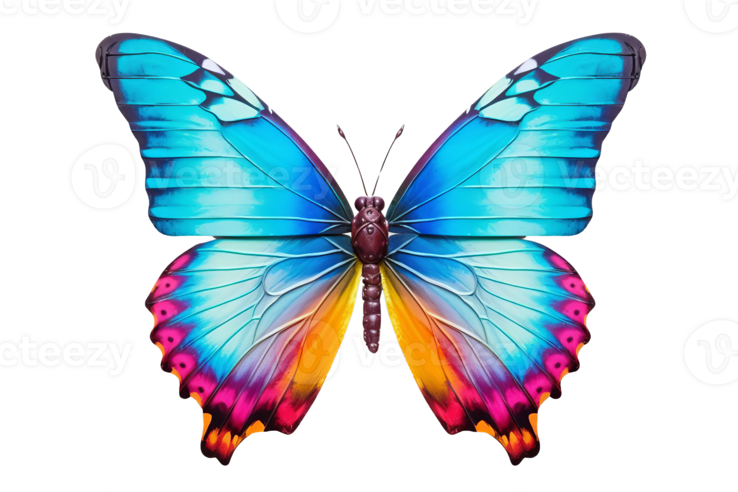 A close-up image of a vibrant butterfly with striking blue and pink wings, showcasing nature's beauty and the artistry of colorful wing patterns. png