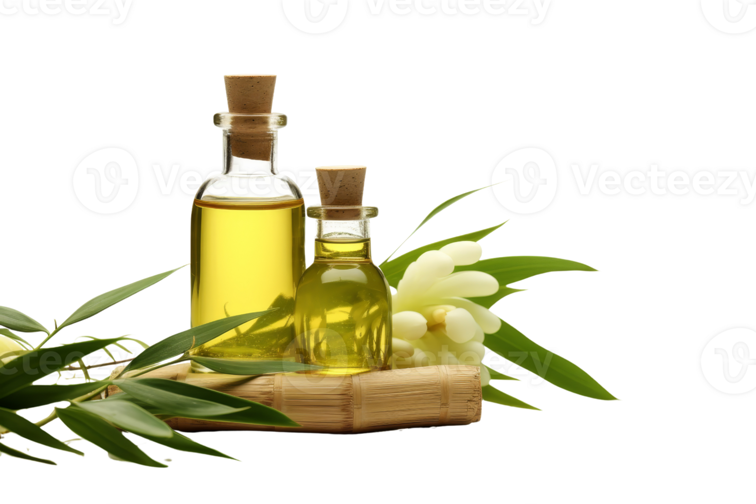 Two bottles of oil are on a wooden surface with a leafy green plant. The bottles are filled with a yellowish liquid png