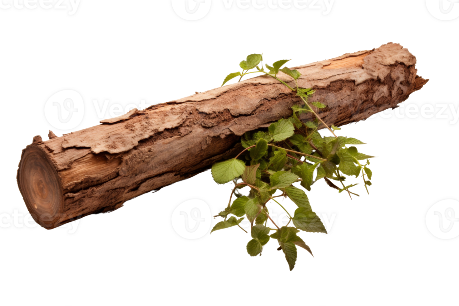 A large log with a small green leaf on top of it. The log is brown and has a rough texture. The image has a natural png