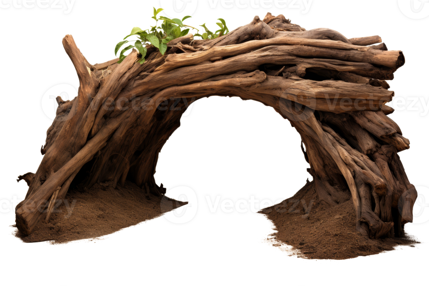A large log with a plant growing out of it. The log is curved and has a tunnel-like shape png