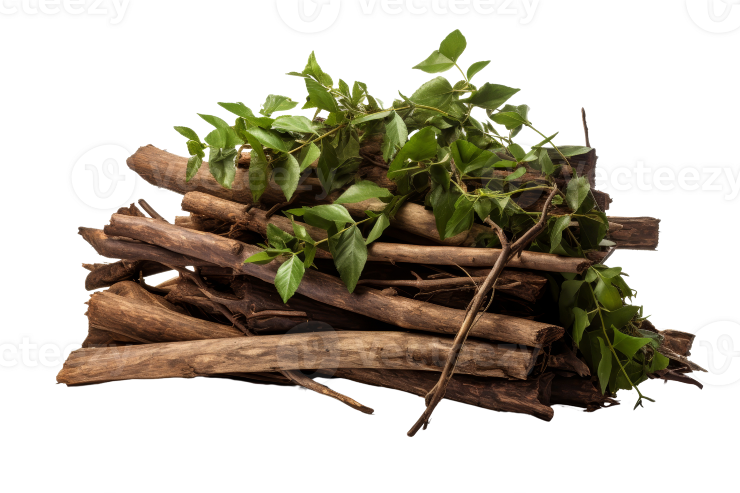 A pile of wood with leaves on top. The pile of wood is made up of branches and twigs png