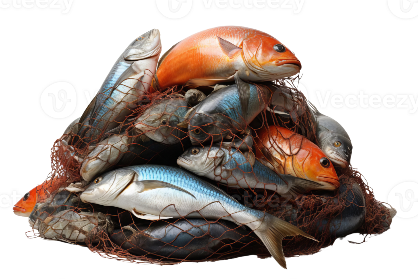A pile of various fish caught in a fishing net, showcasing a variety of species in vibrant colors, ready for culinary preparation. png