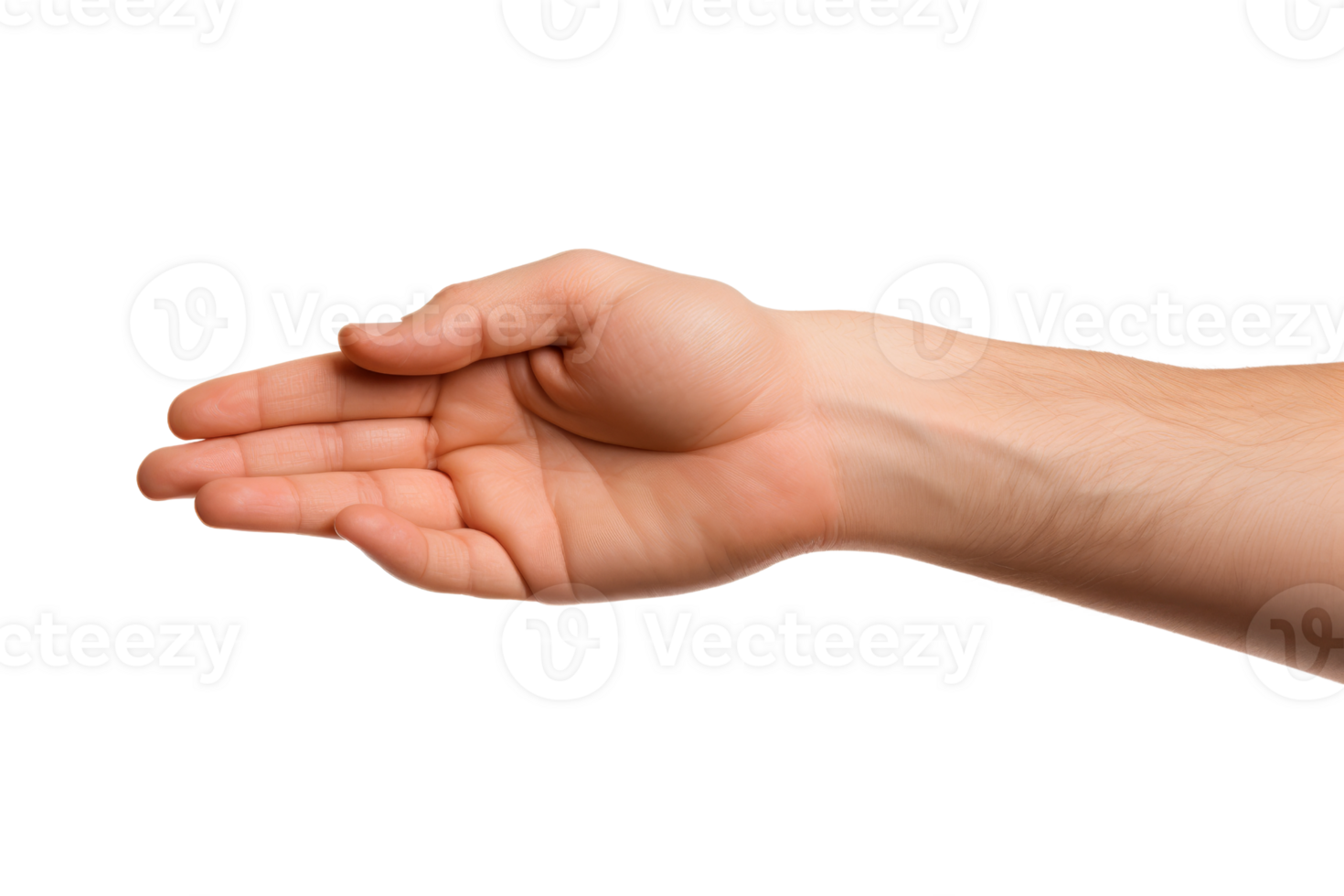 A hand is shown with the fingers spread out. Concept of openness and friendliness png