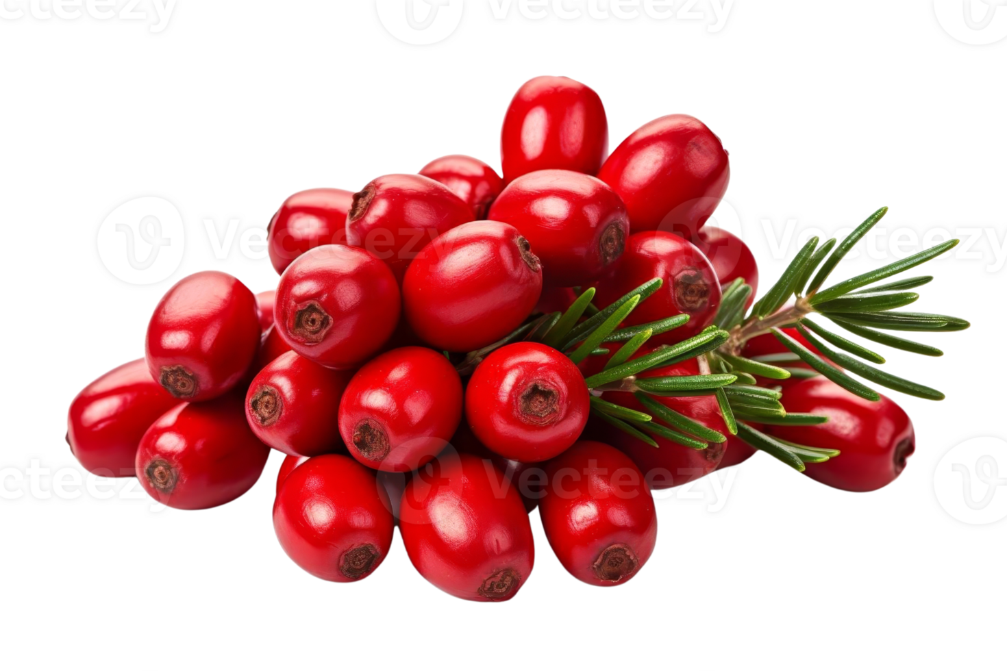 A bunch of red berries with a green leaf on top. The berries are small and round, and they are all clustered together png