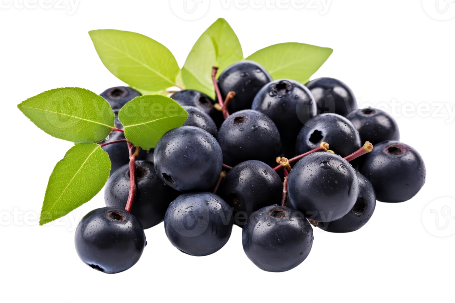 A bunch of blueberries with green leaves on top. The leaves are wet and the berries are shiny png