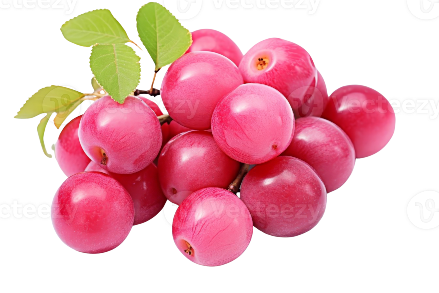 A bunch of red fruit with green leaves. The fruit is ripe and ready to eat png