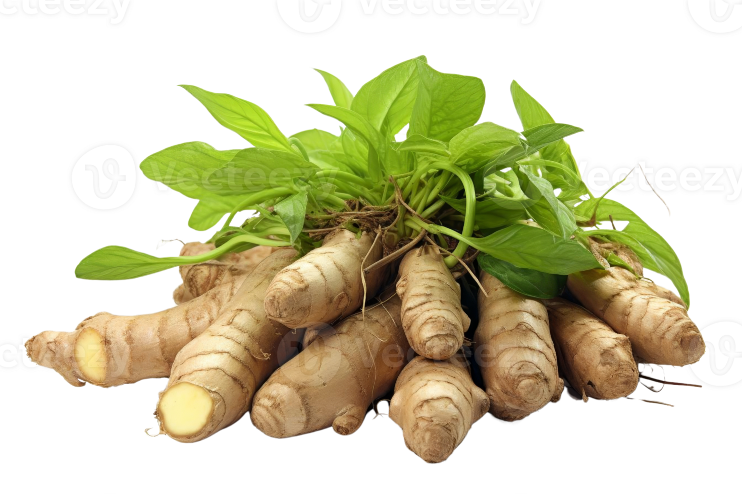 A bunch of ginger root with green leaves on top png