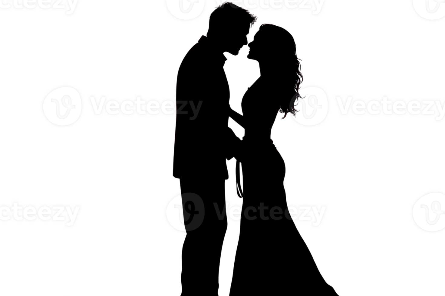 A couple is kissing in a wedding dress. The man is holding the woman's hand. Concept of love and romance png