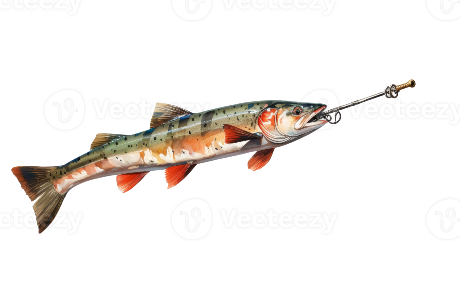 A fish is swimming with a fishing line attached to it png