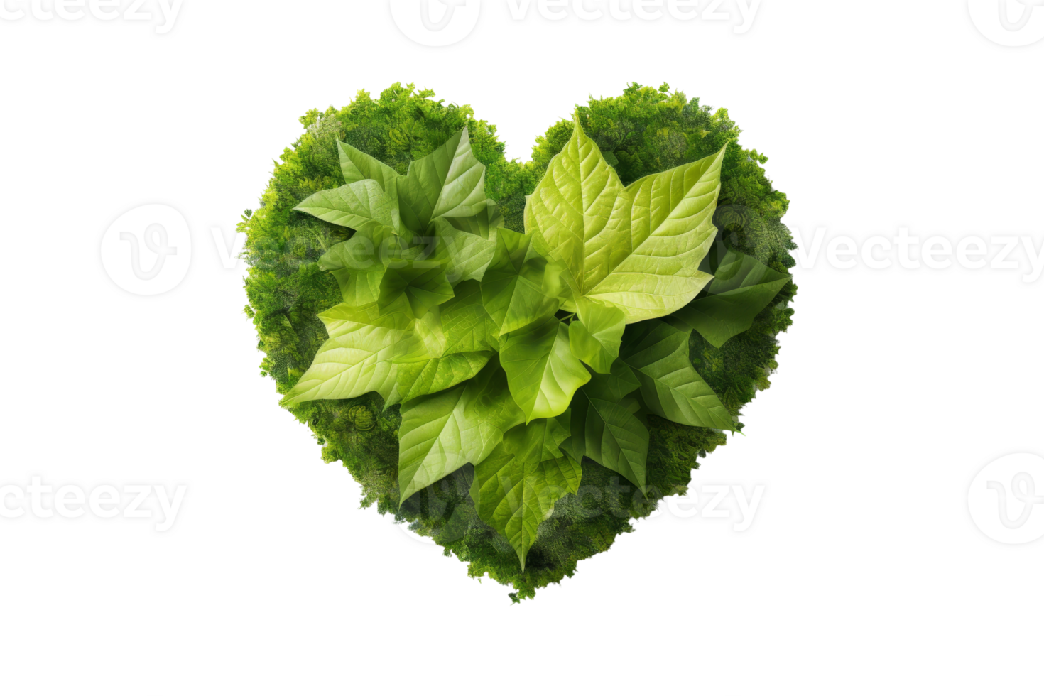 A heart made of green leaves png