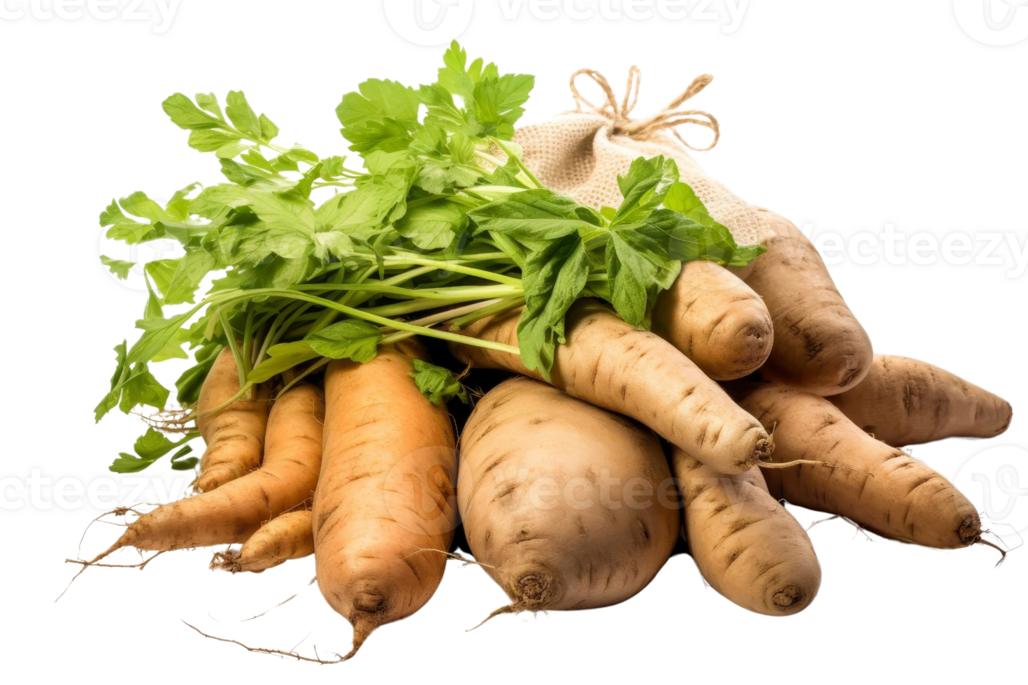A bunch of vegetables including carrots, potatoes, and celery are piled on top of each other png