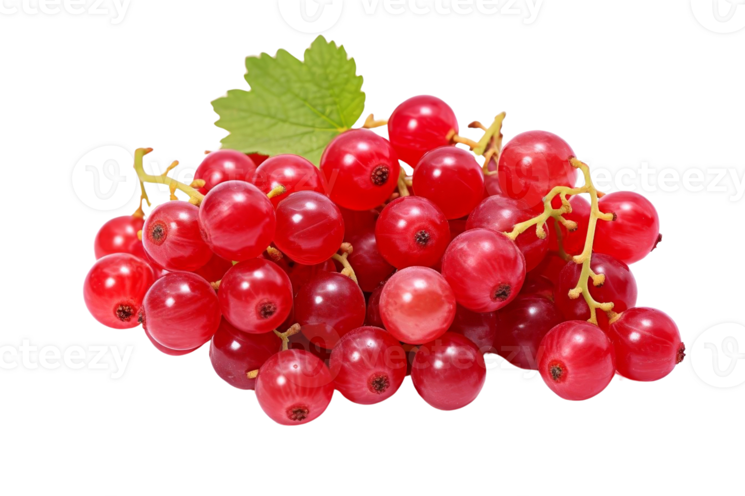 A bunch of red grapes with a leaf on top. The grapes are ripe and ready to eat png