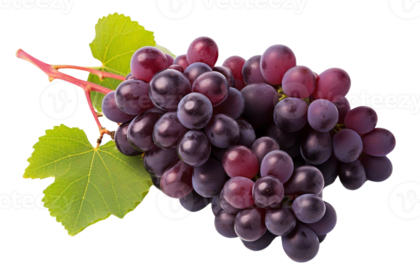 A bunch of grapes are on a leaf. The grapes are purple and are clustered together. The leaf is green and has a few veins png