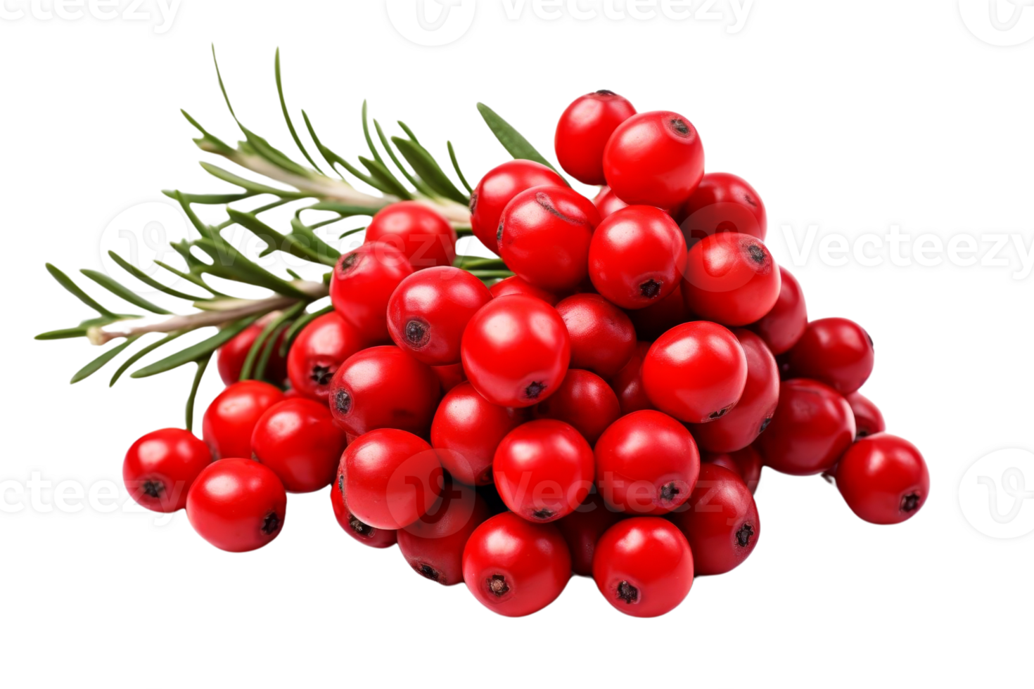 A vibrant bundle of red berries and fresh greenery, offering a bright and festive touch. Ideal for seasonal decor and culinary inspiration. png