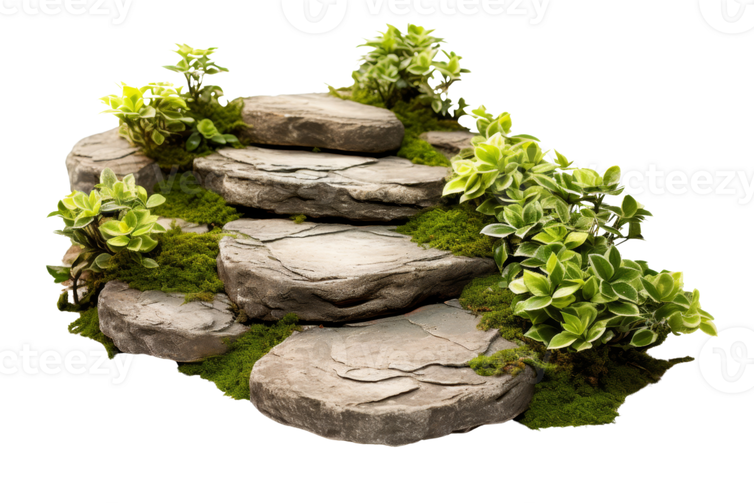 A rock garden with moss and green plants. The plants are growing on the rocks and the moss is covering the ground. The garden has a natural and peaceful feel to it png