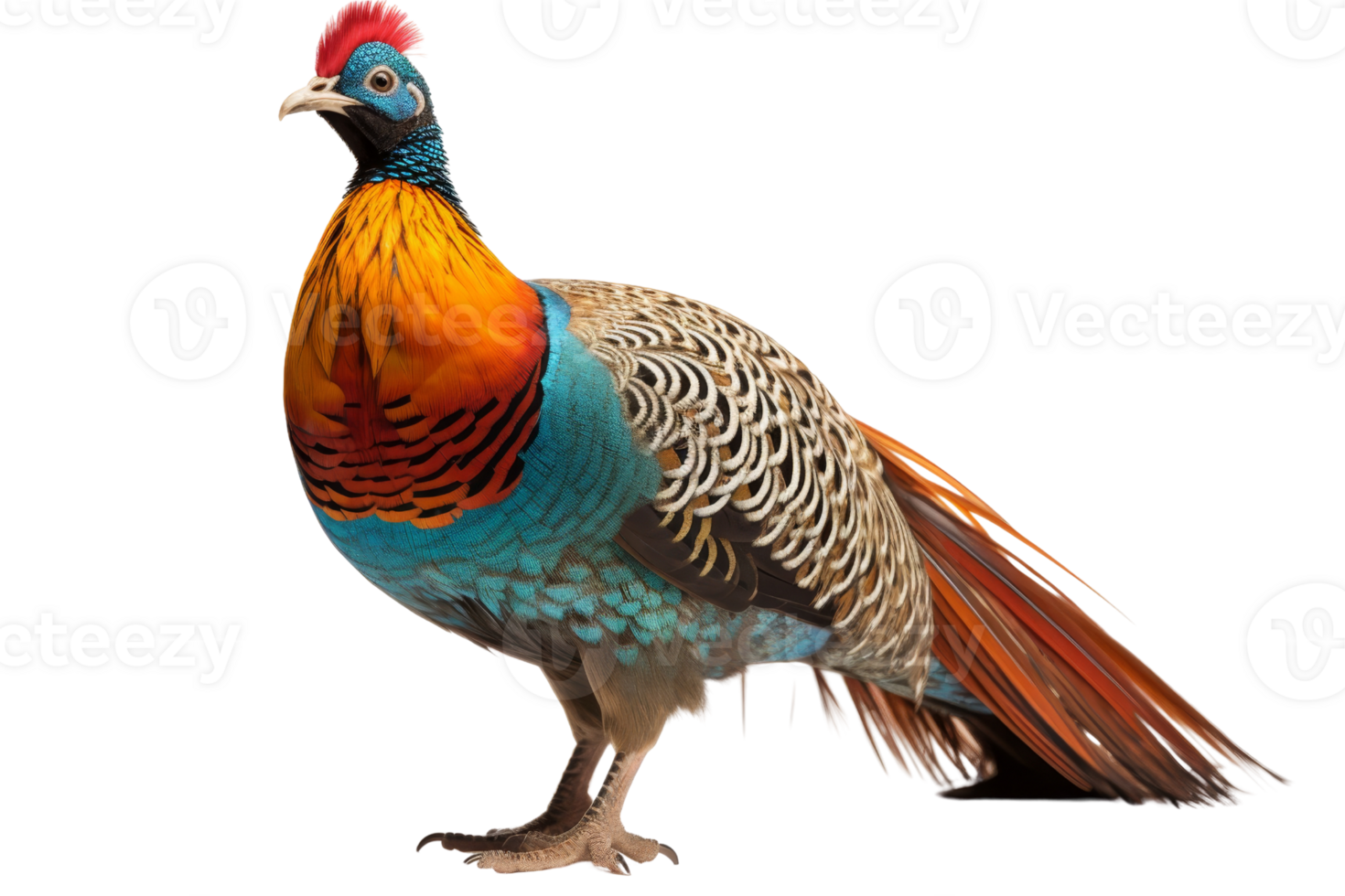 Vibrantly colored exotic bird with striking plumage and unique markings, isolated on transparent background. showcasing its natural beauty and elegance. png