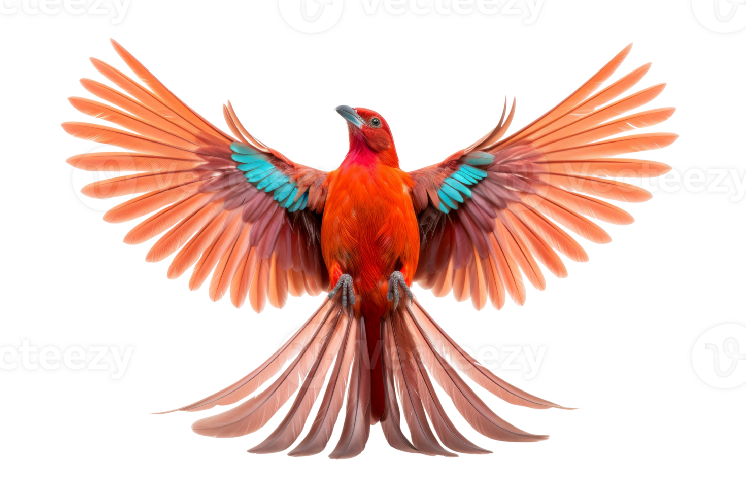 Vibrant red bird in mid-flight with wings spread wide, showcasing vivid colors and detailed feathers, isolated on transparent background. png