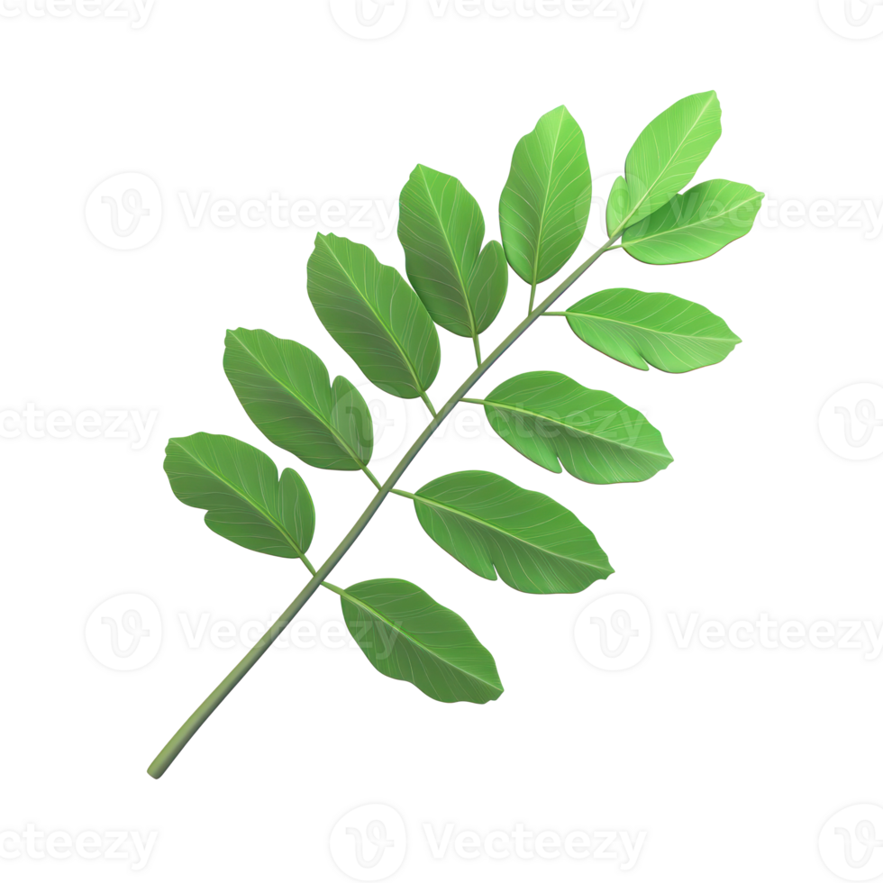 a green leaf 3d cartoon style png