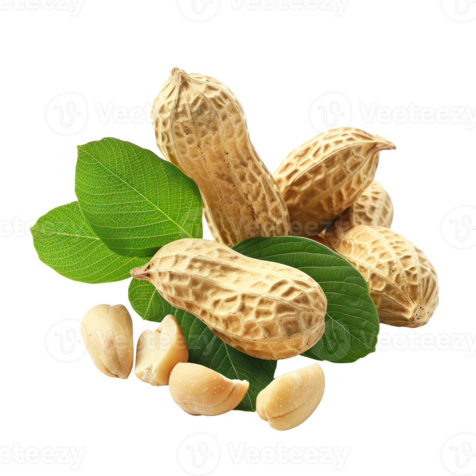 Peanuts and leaves isolate on transparency background png