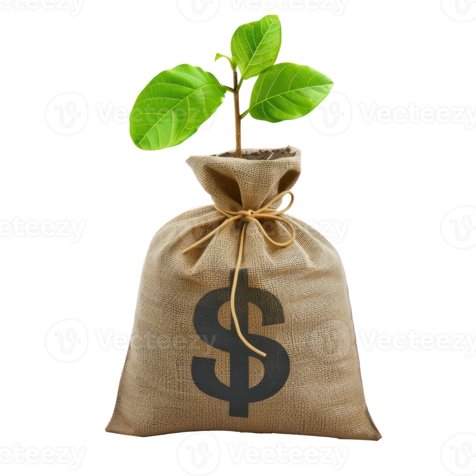 Money bag with dollar sign and money tree growing out the top isolate on transparency background png