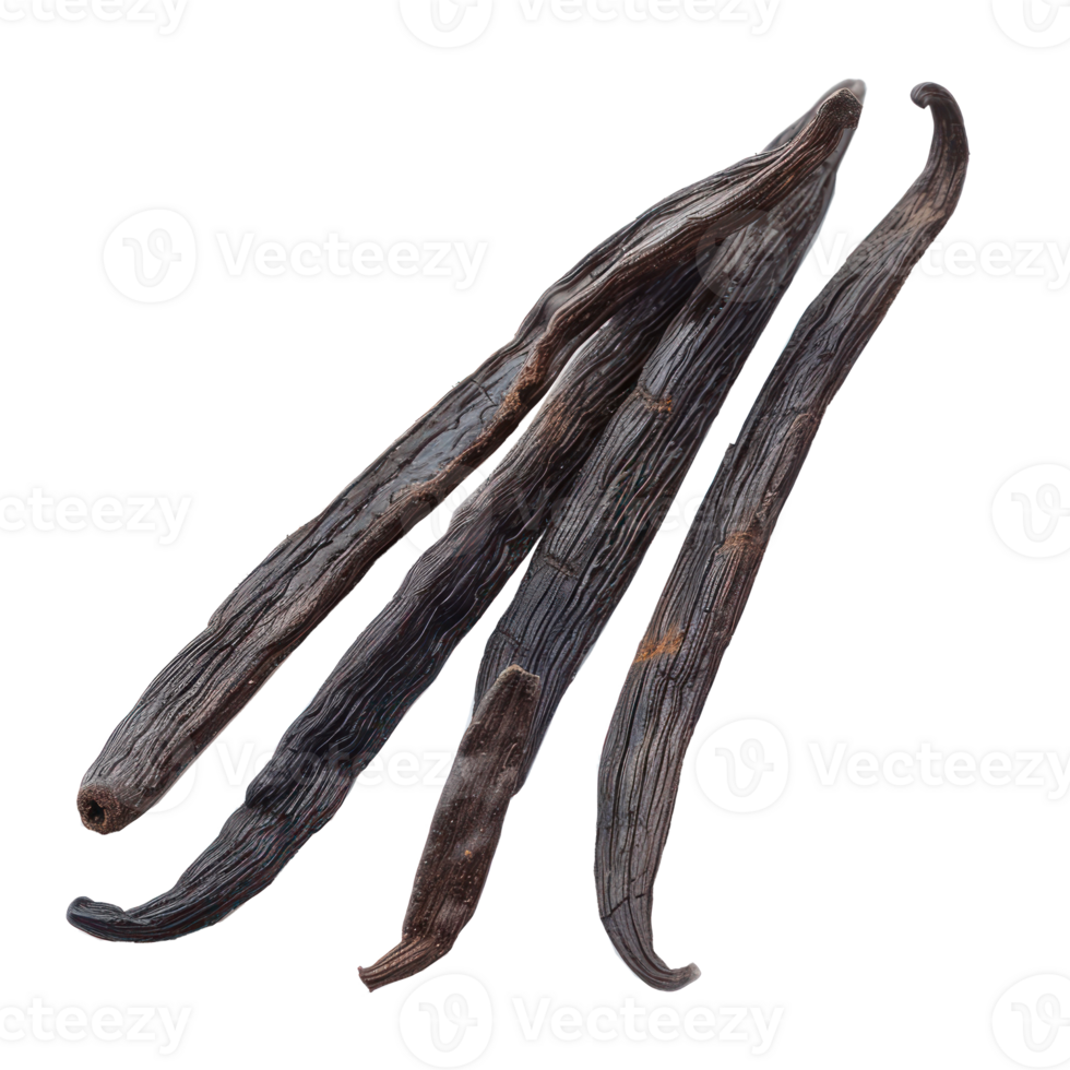 dry vanilla bean isolate on transparency background png