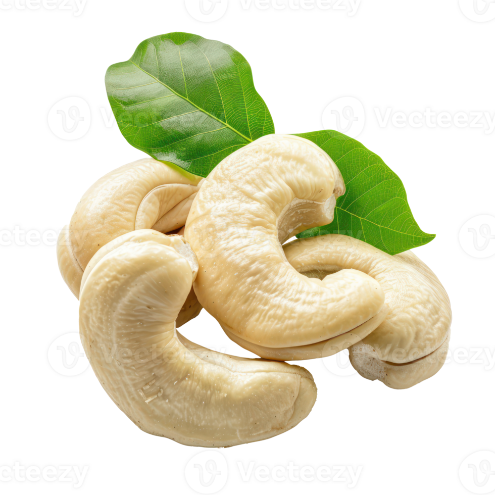 Cashew with leaves isolate on transparency background png
