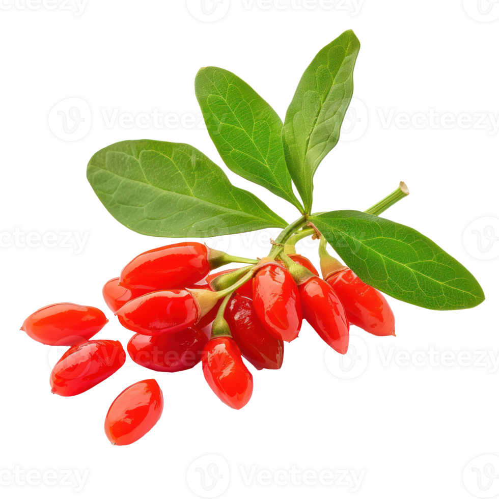 Fresh Goji berry with green leaves isolate on transparency background png