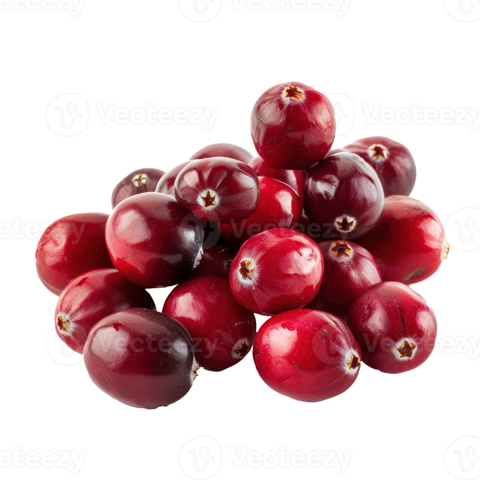 Closeup of Fresh Cranberries, clipping path isolate on transparency background png
