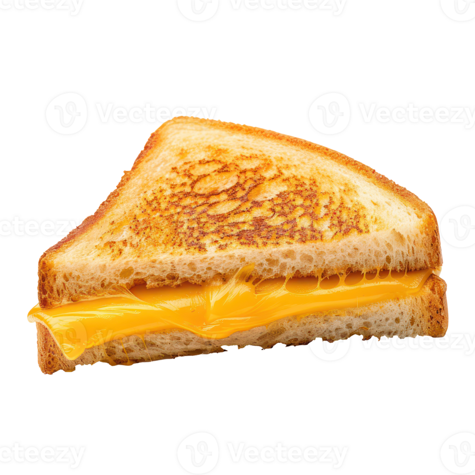 grilled cheese side view full length isolate on transparency background png