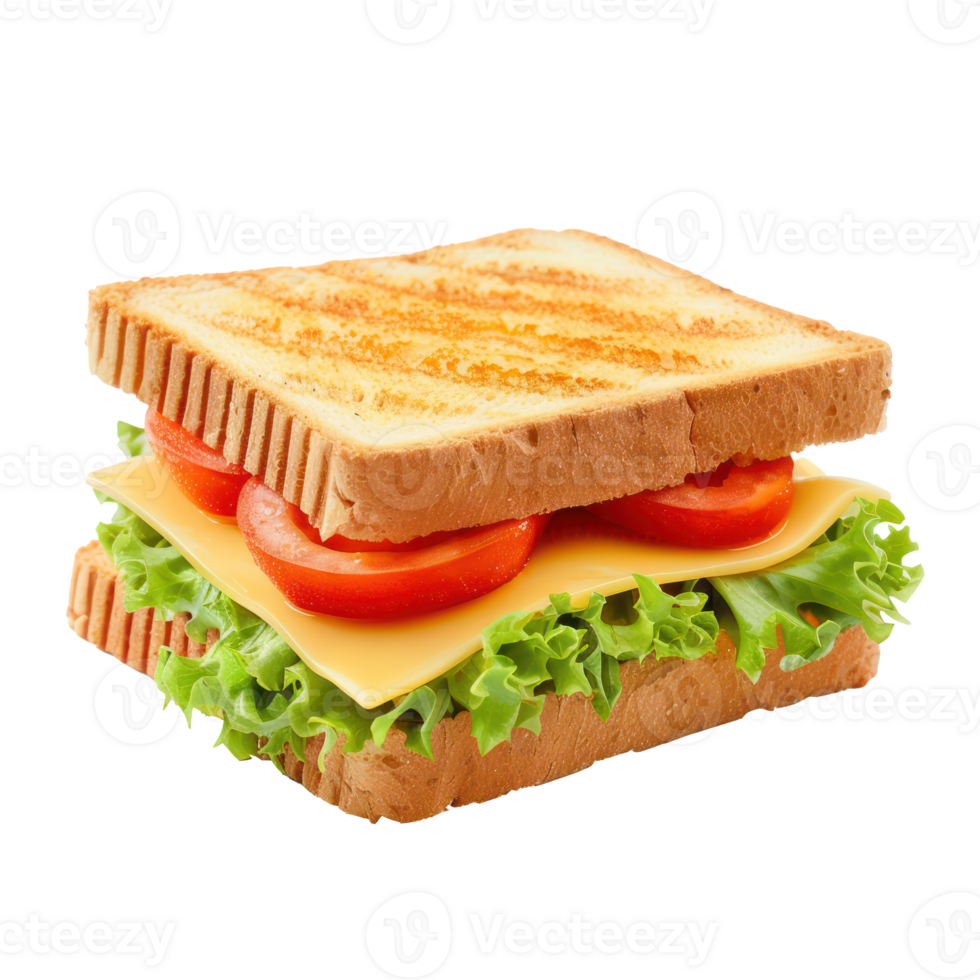 cheese sandwich front view full length isolate on transparency background png