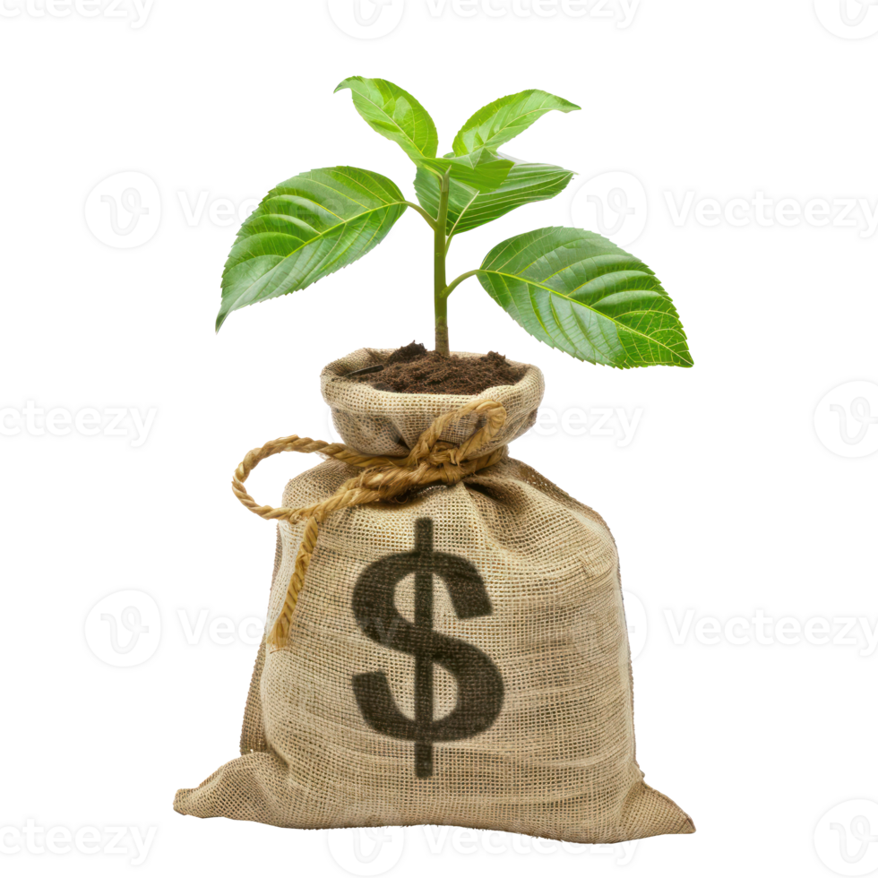 Money bag with dollar sign and money tree growing out the top isolate on transparency background png