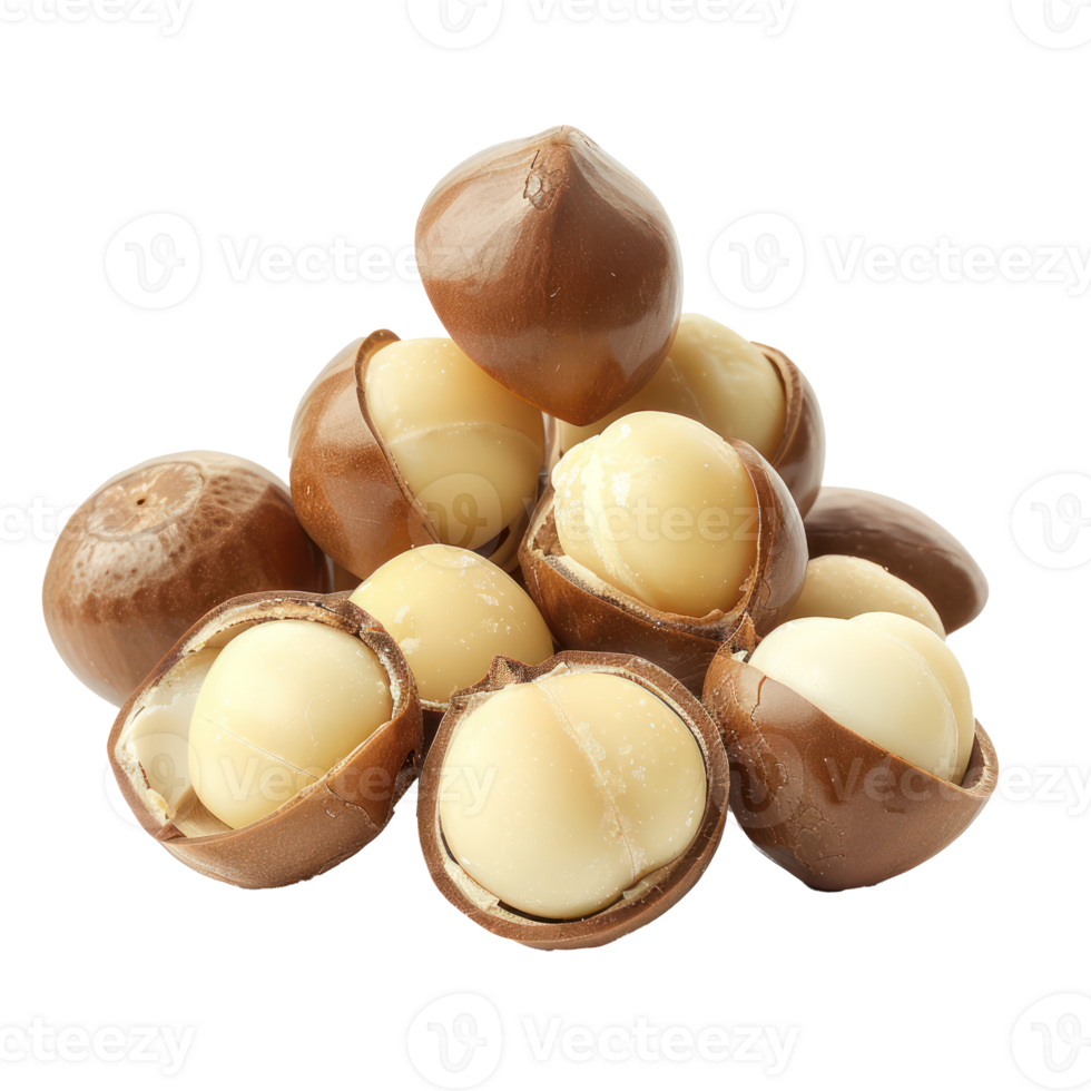 Macadamia Nuts isolate on transparency background png