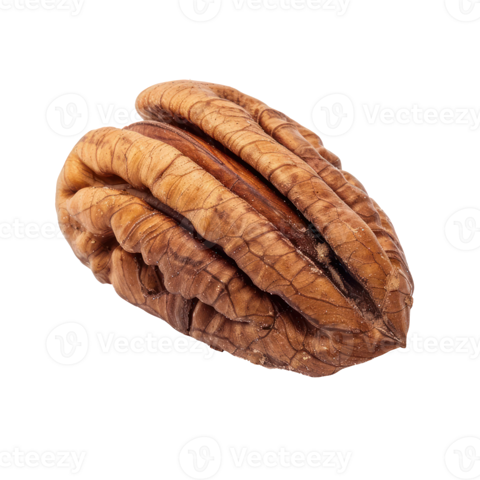 Closeup Pecan isolate on transparency background png